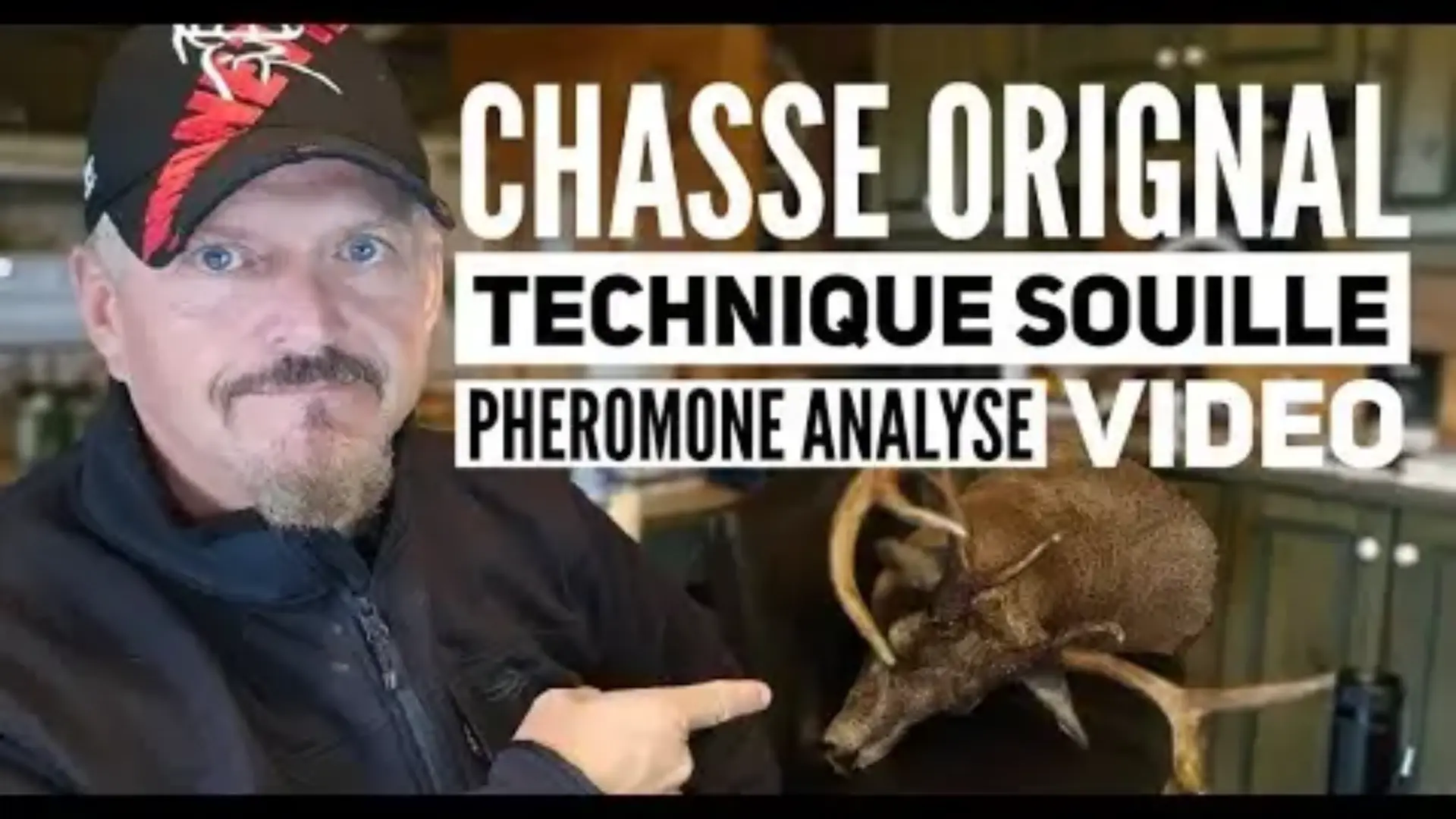 11 sept#1251 Steph Monette ON JASE Chasse orignal et techniques, Analyse video d orignal