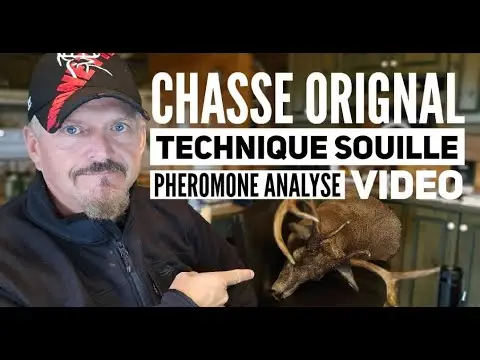 11 sept#1251 Steph Monette ON JASE Chasse orignal et techniques, Analyse video d orignal