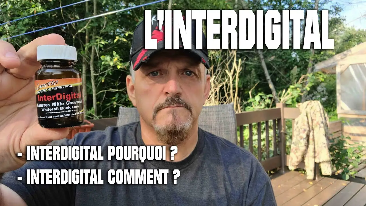 INTERDIGITAL de la Ferme Monette comment l