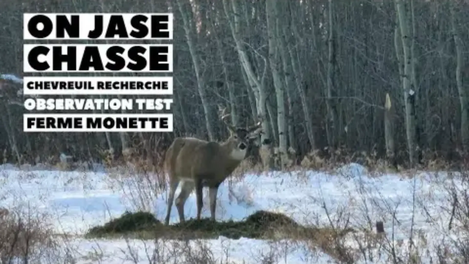 22nov#953  Stephane Monette ON JASE chasse chevreuil recherche et phase de rut, observation et test