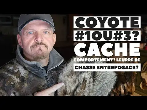 30 NOV #1330 Steph Monette ONJASE de Coyote & Cache