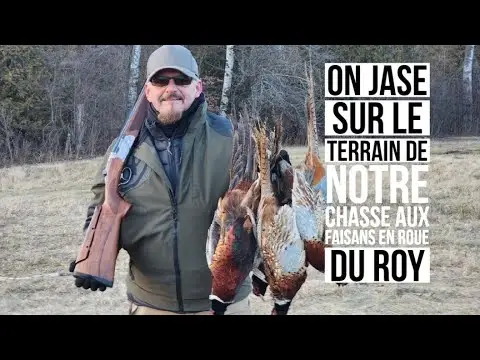 Chasse aux faisans en Roue du roy entre père, fils et amis