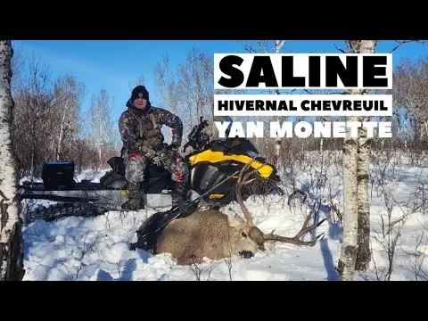 Comment faire une saline en temps hivernale pour chevreuil