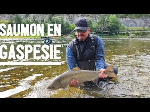 Pêcher le saumon Atlantique à la mouche