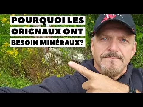 Pourquoi les orignaux ont besoin de mineraux?