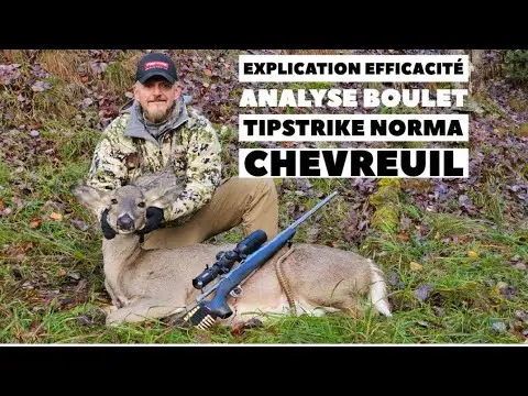 Tipstrike de Norma dans un chevreuil: Éthique et Efficace pour la Chasse