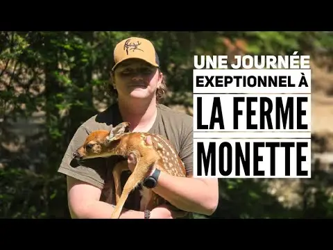 Une Journée Exeptionnel à la Ferme Monette