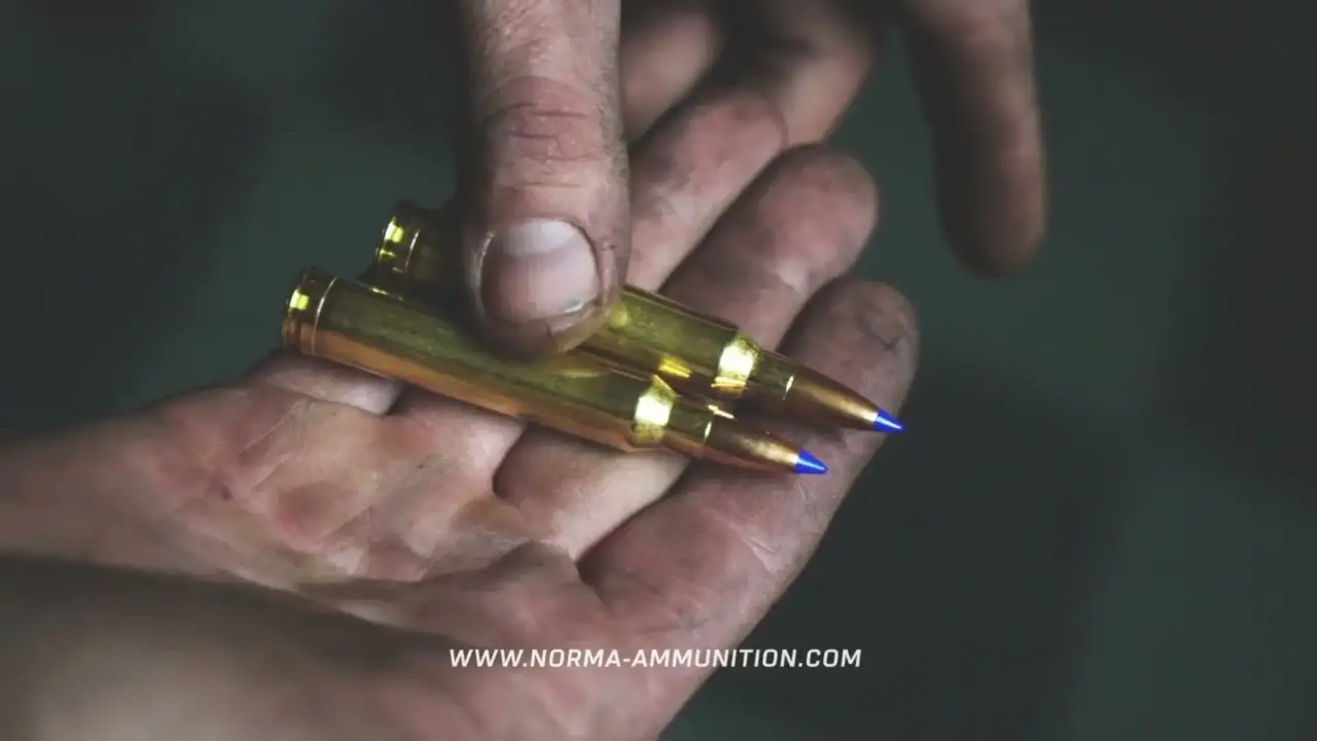 BONDSTRIKE NORMA AMMO