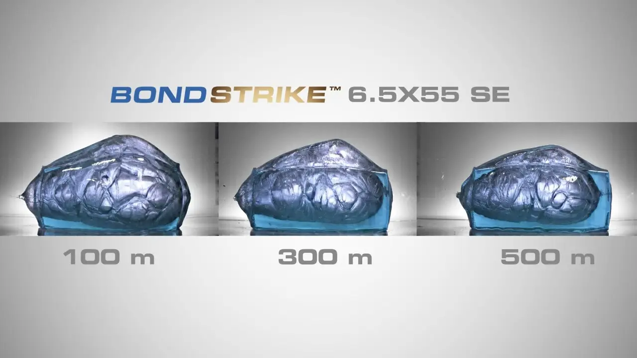 Bondstrike ballistic gel and bullets in 65x55 NORMA AMMO