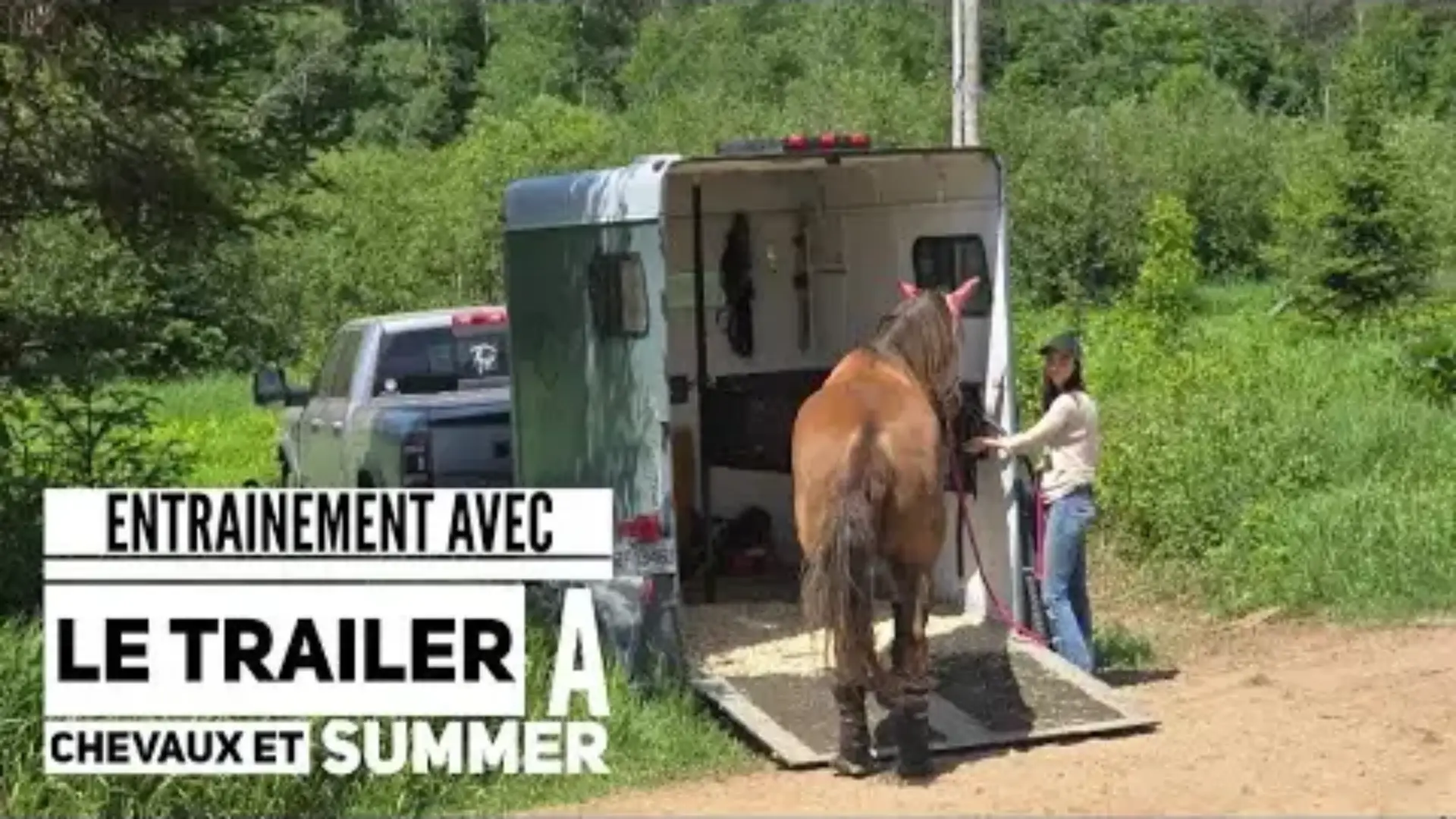 Entraînement avec le trailer à chevaux et Summer