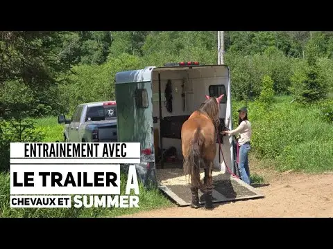 Entraînement avec le trailer à chevaux et Summer