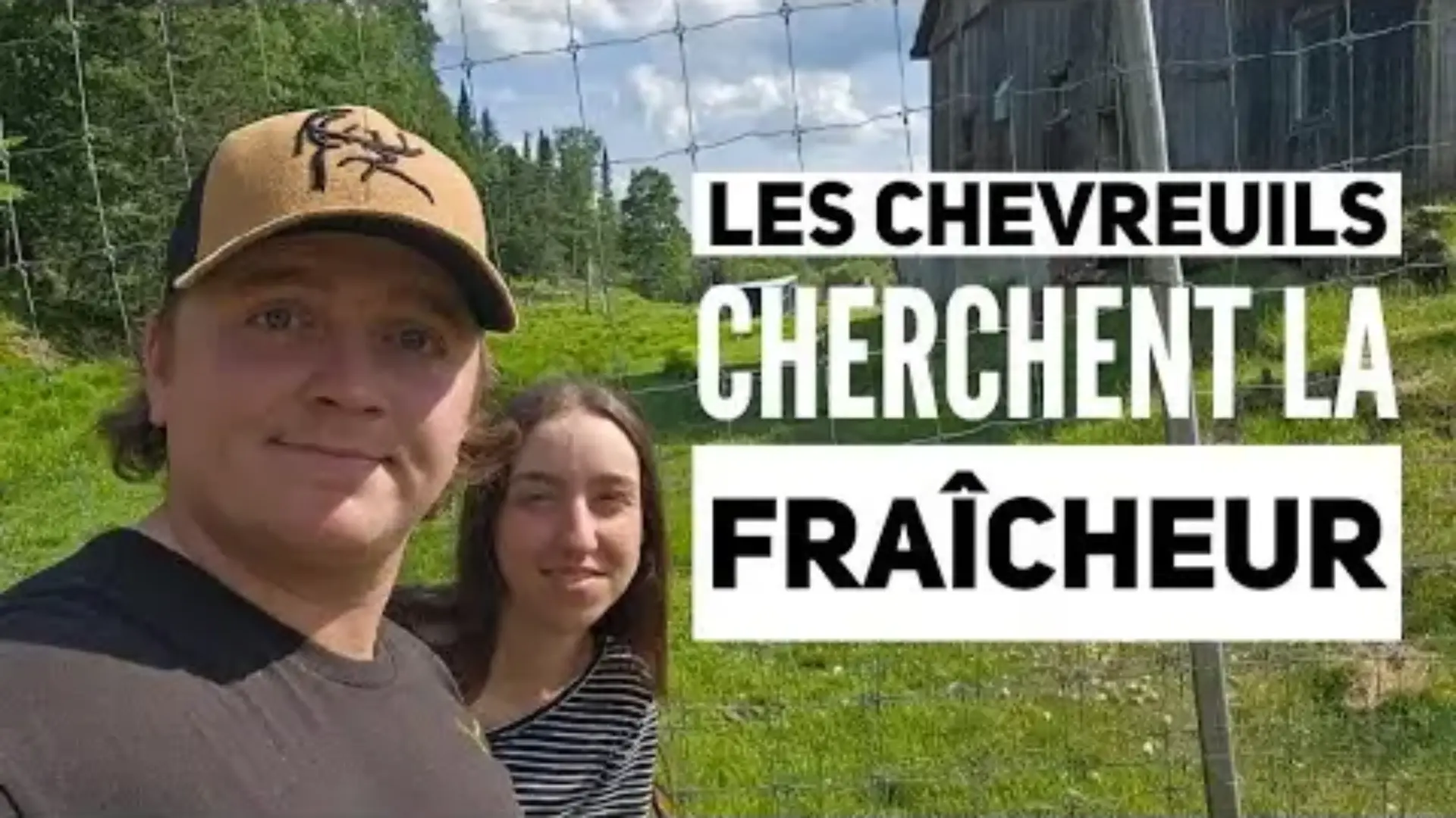 Les Chevreuils cherchent la fraîcheur