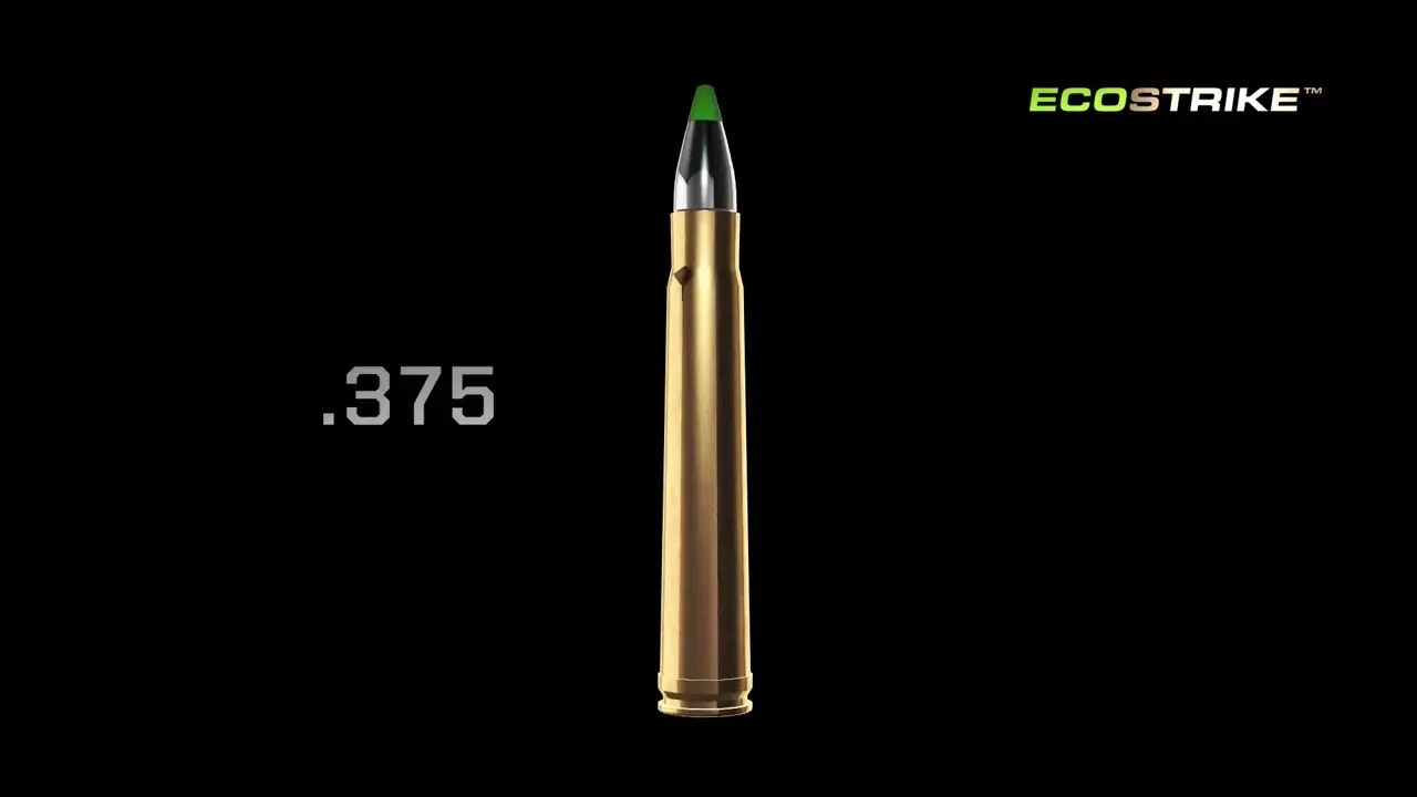 NORMA AMMO 375 HH ECOSTRIKE