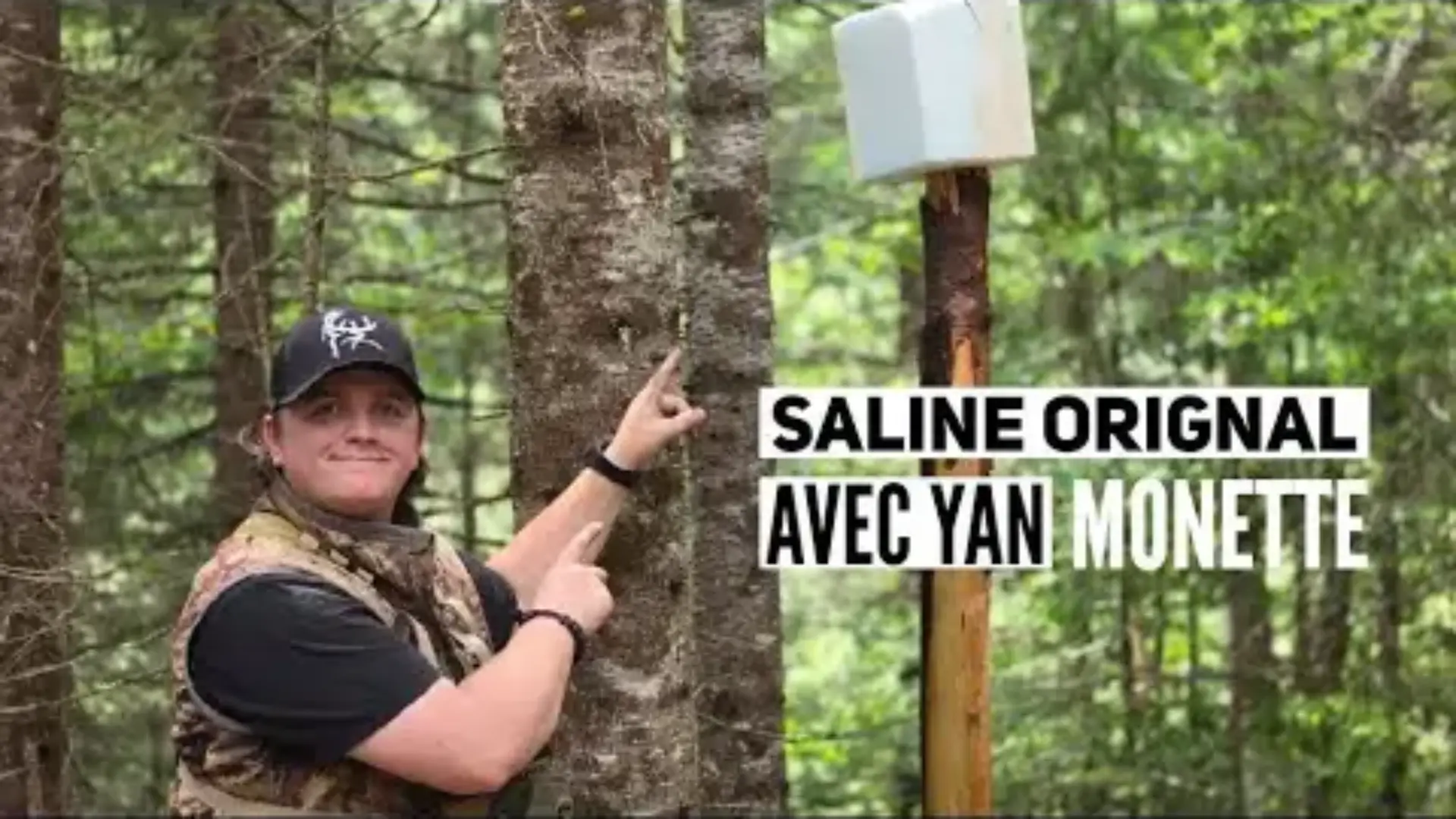 Saline Orignal avec Yan Monette