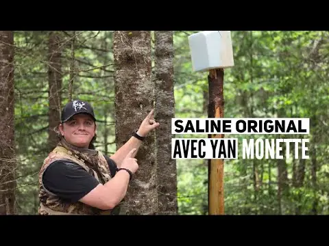 Saline Orignal avec Yan Monette