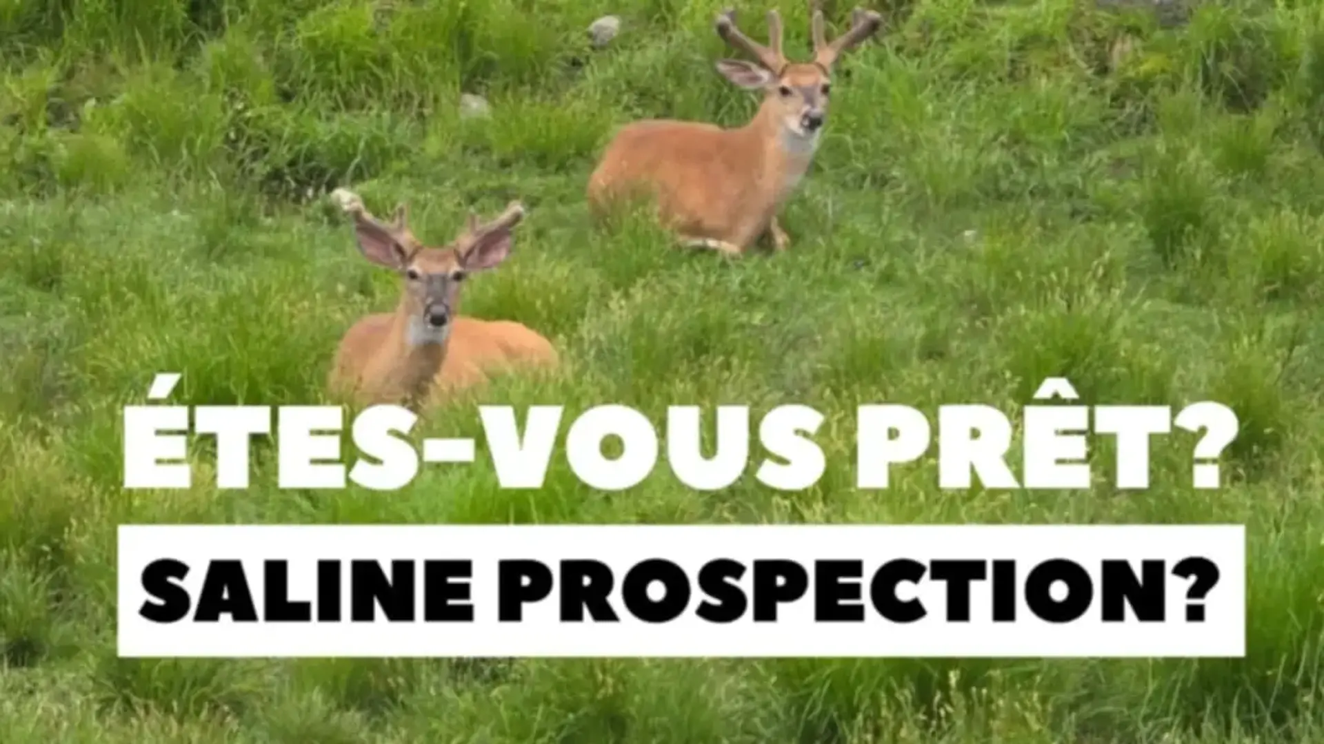 Êtes-vous prêt? Prospection et Analyse!