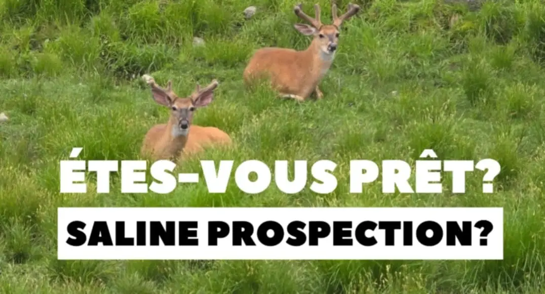 Êtes-vous prêt? Prospection et Analyse!