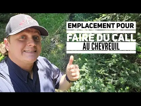 Emplacement pour le call au chevreuil 😁