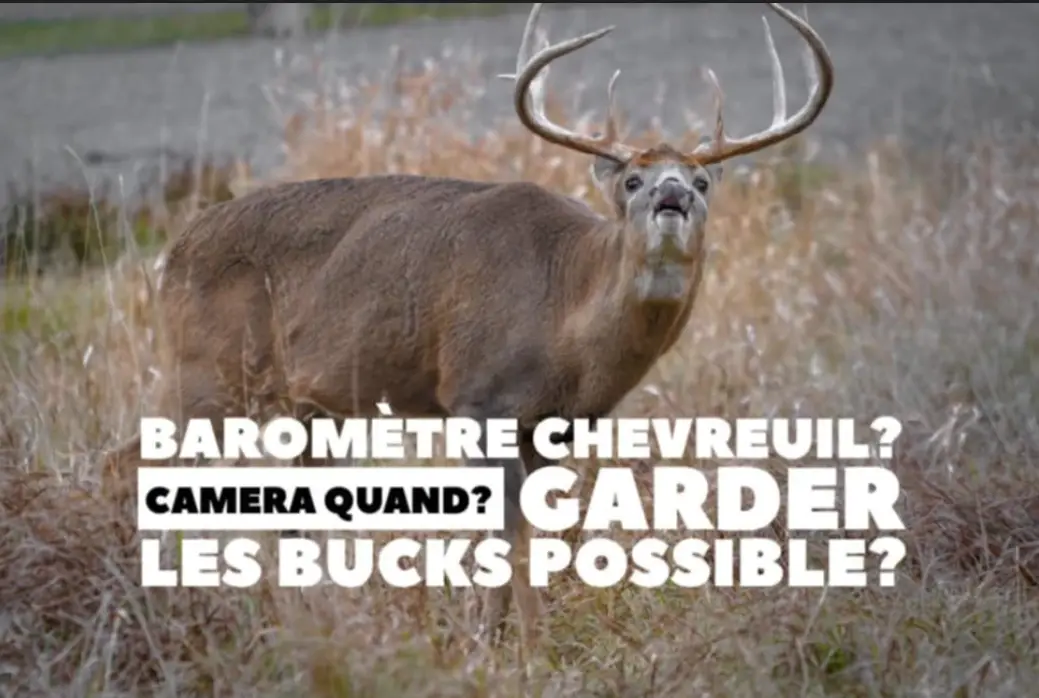 #1656 ONJASE Steph Monette: Baromètre Chevreuil