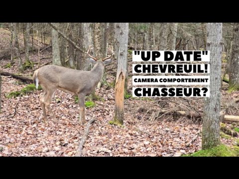 23 novembre #1688 ONJASE Steph Monette🐟 Les meilleurs récits de pêche et chasse chaque matin