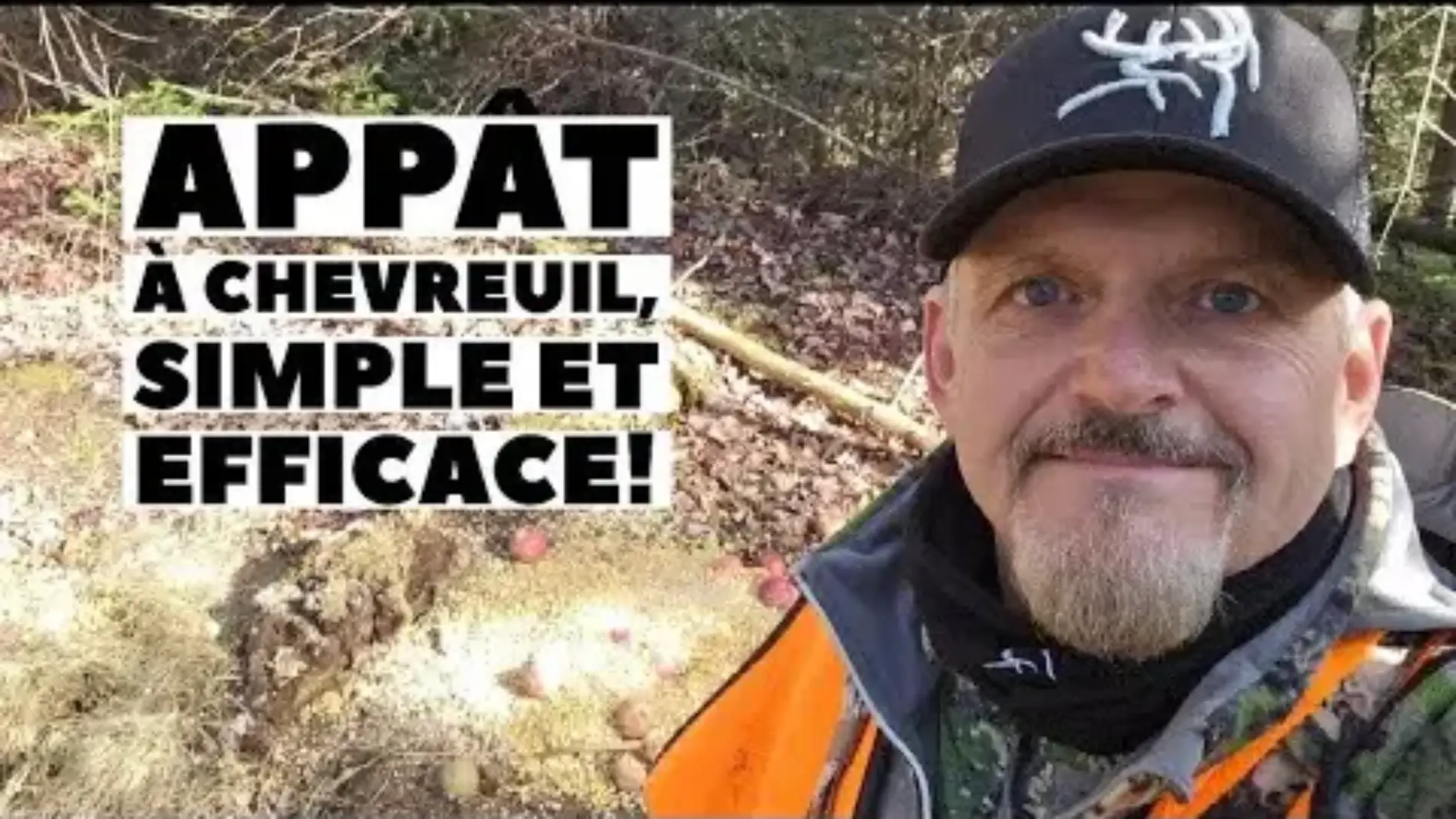 Appât à chevreuil simple et efficace