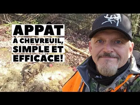 Appât à chevreuil simple et efficace